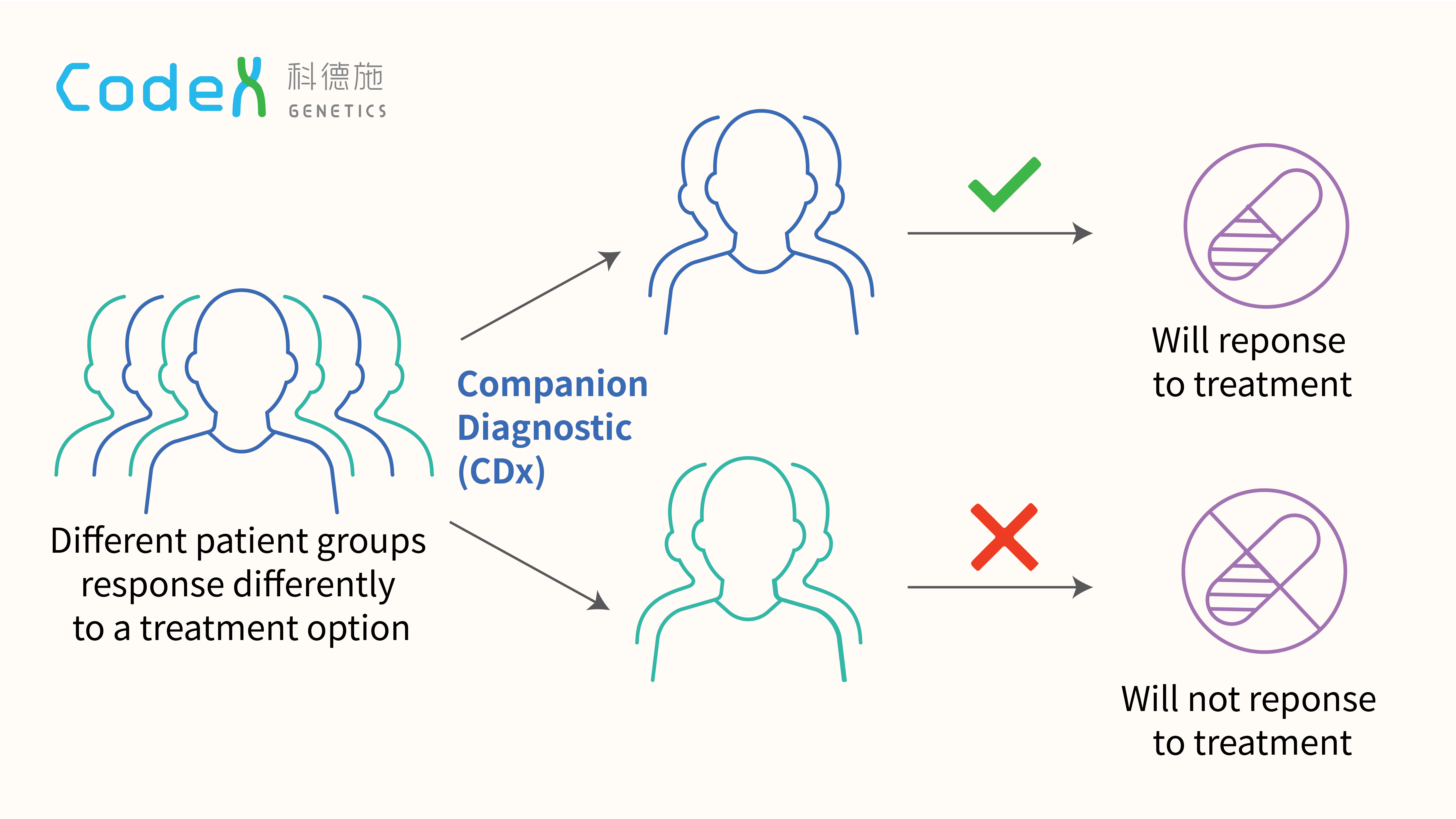 Companion Diagnostics: Integration Of Diagnostic Testing Into Treatment  Pathway | Codex Genetics