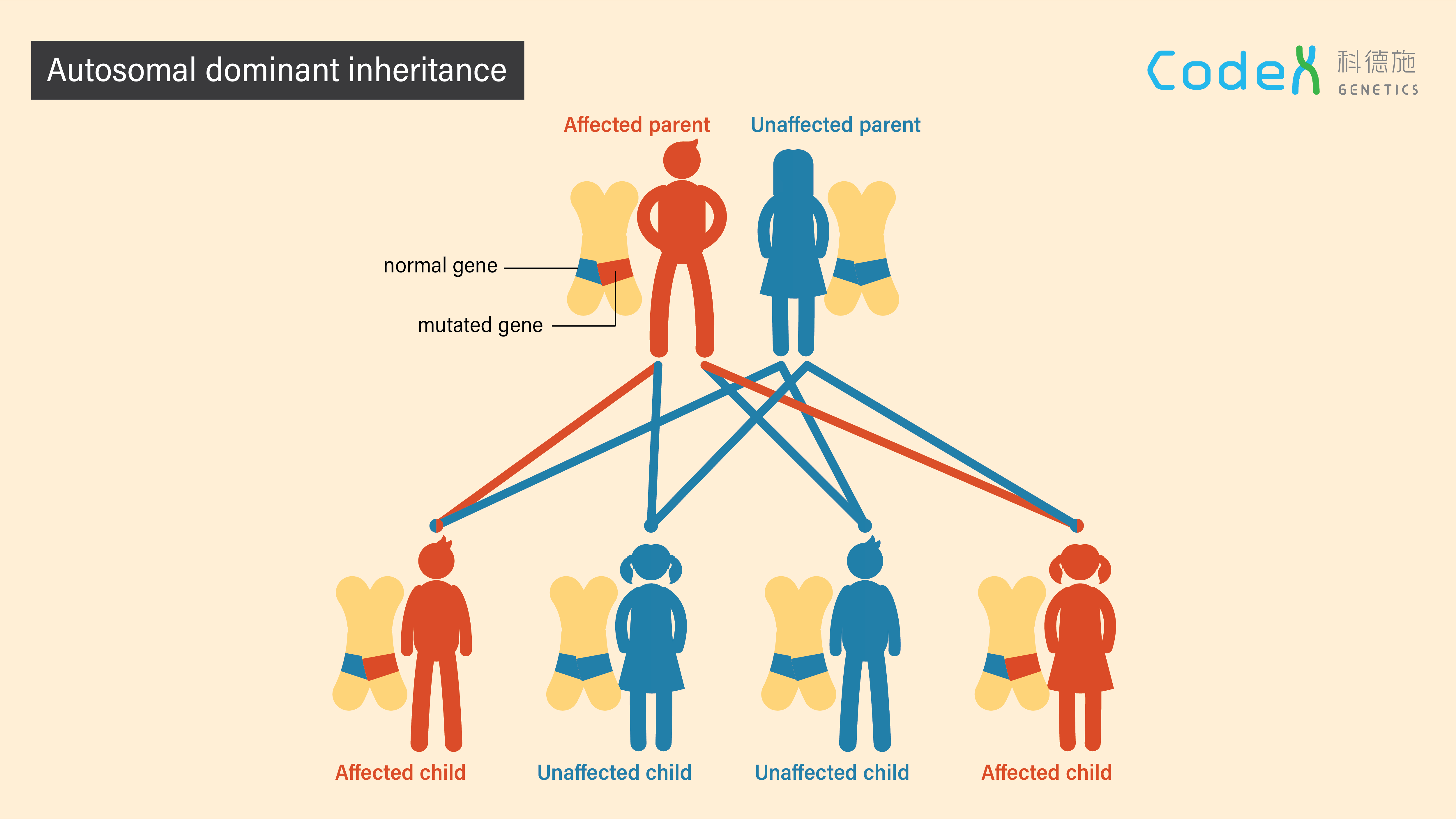 Autosomal dominant inheritance