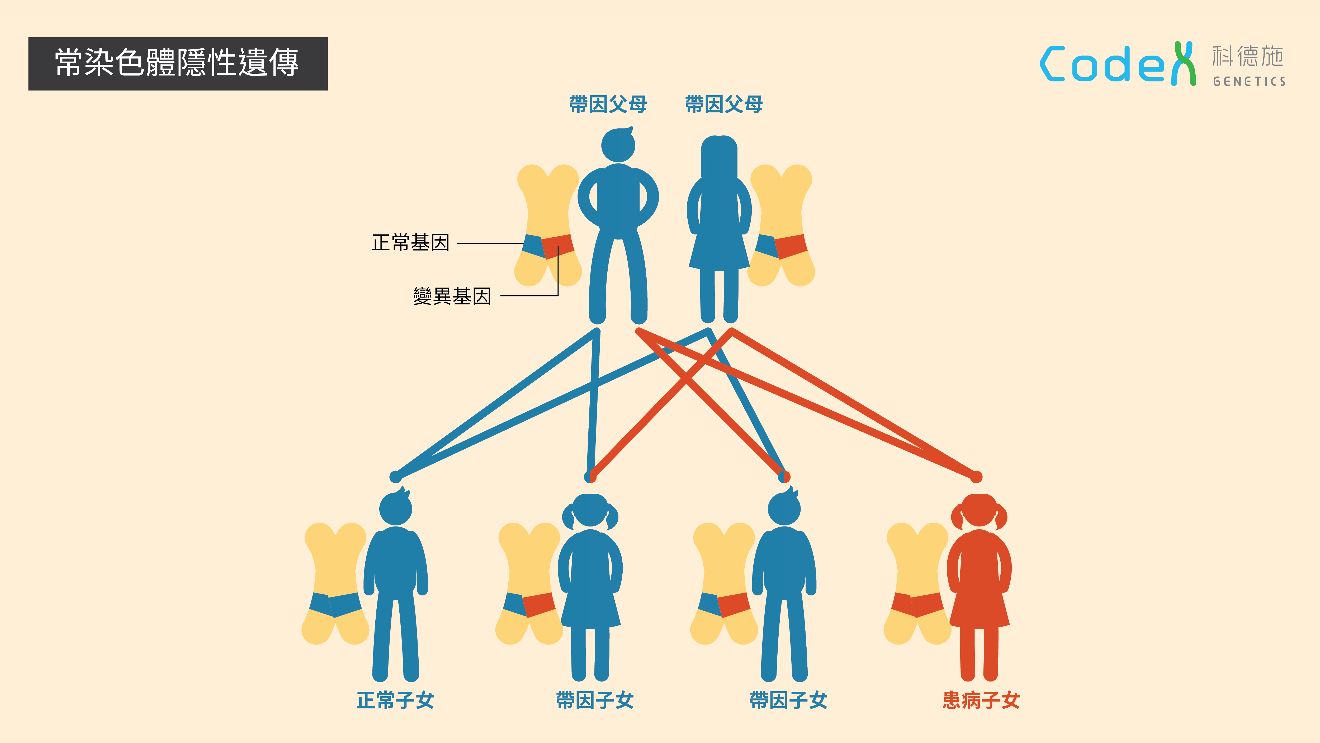 常染色體隱性遺傳